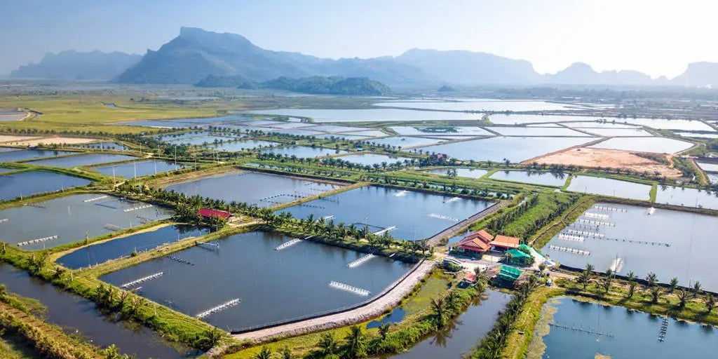 A History of Aquaculture