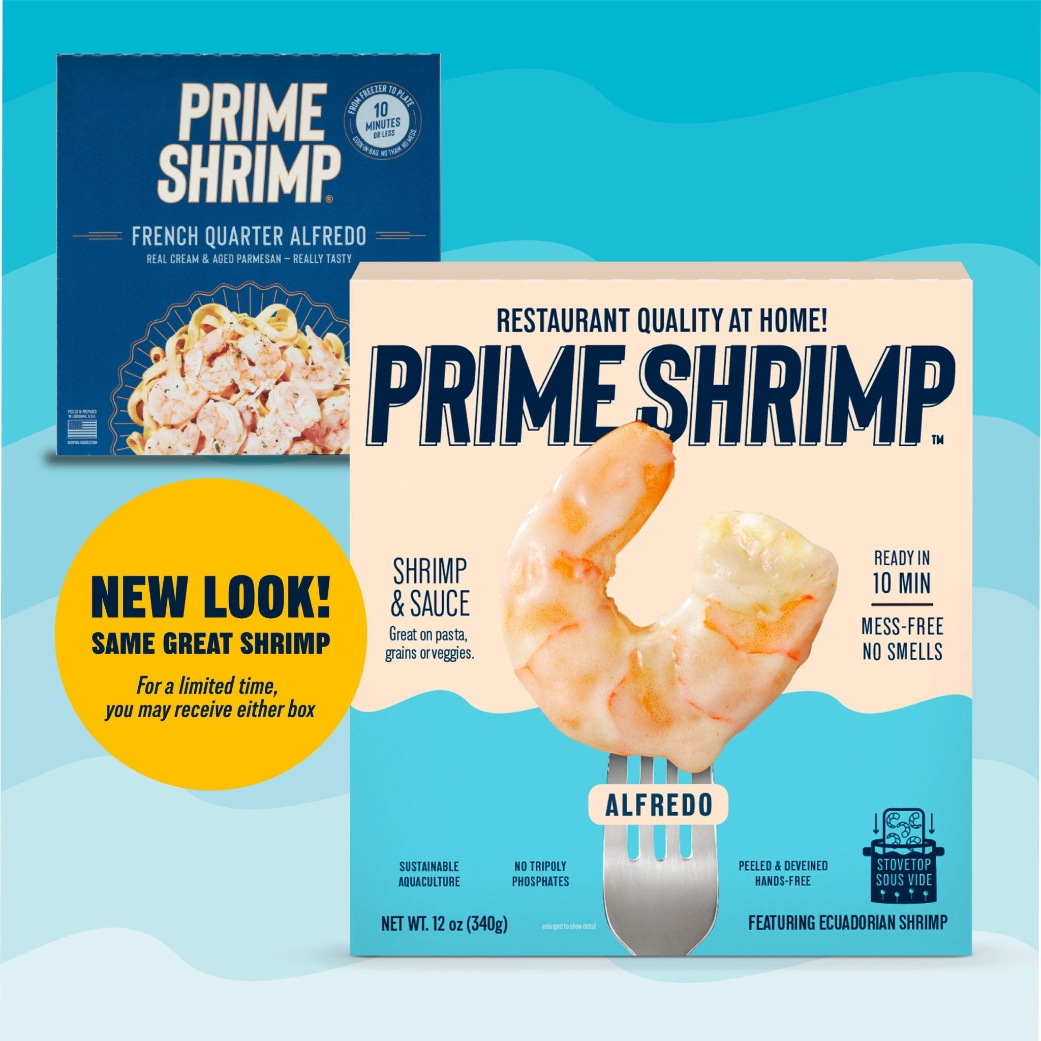 Alfredo Shrimp
