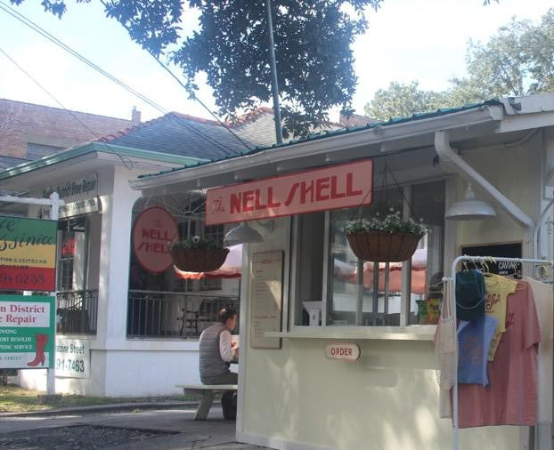 nell_shell_2.jpg
